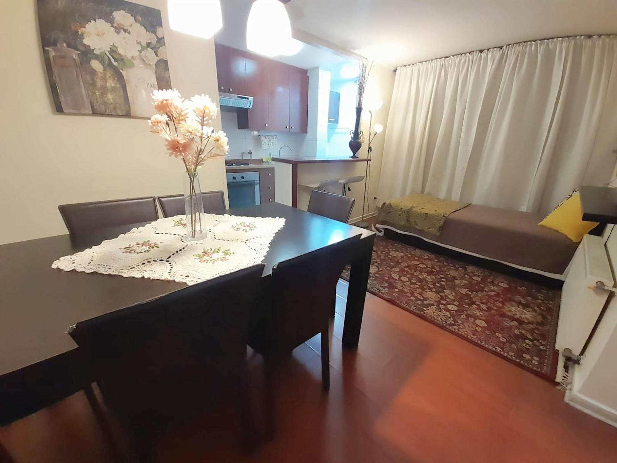 Vip Apartments Chile Santiago du Chili Extérieur photo