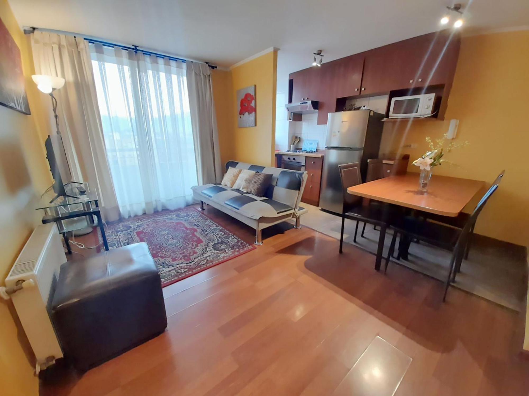 Vip Apartments Chile Santiago du Chili Extérieur photo