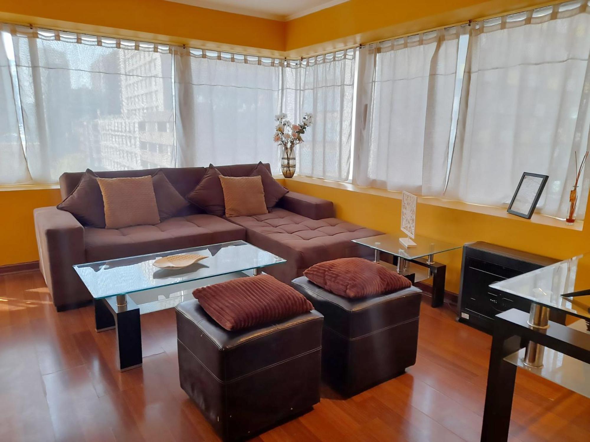 Vip Apartments Chile Santiago du Chili Extérieur photo