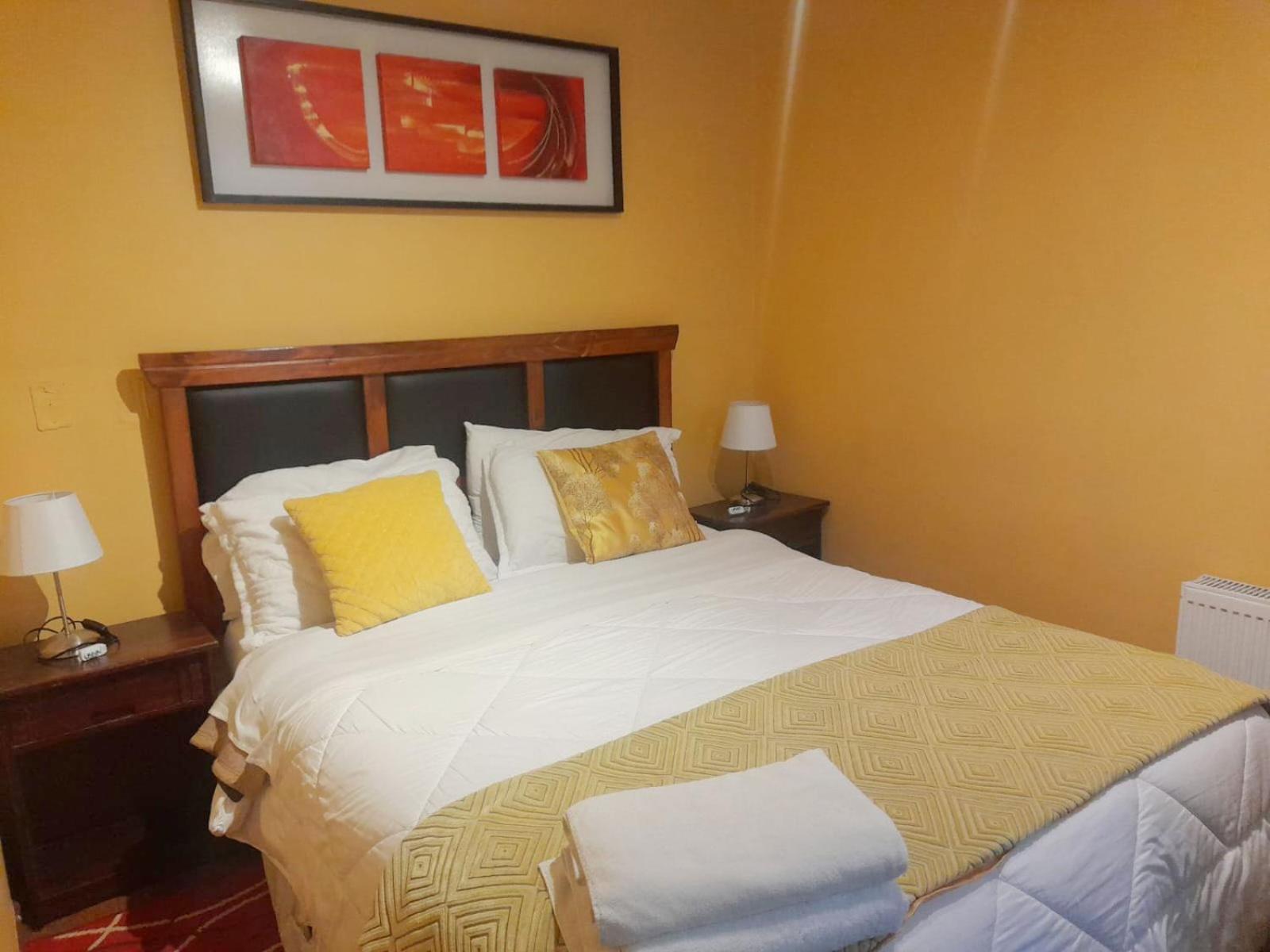 Vip Apartments Chile Santiago du Chili Extérieur photo